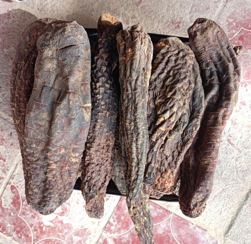 新疆和田肉苁蓉一手货