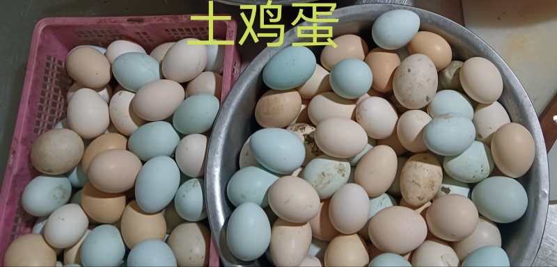 土鸡蛋，山间纯散养