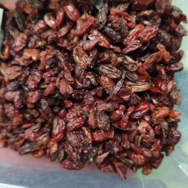 山茱萸