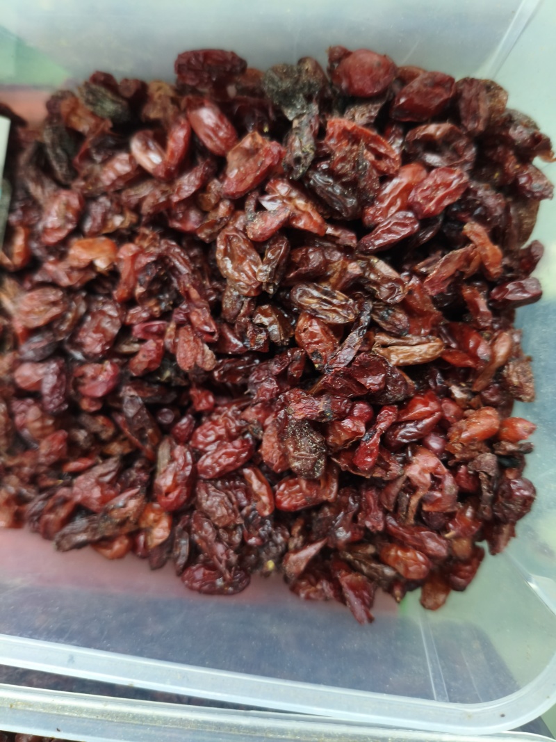 山茱萸