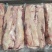 牛胸口油，胸口，烤肉火锅量大质优产地直发