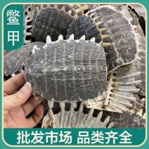 鳖甲制鳖甲醋鳖甲鳖下甲规格齐全质量保证……