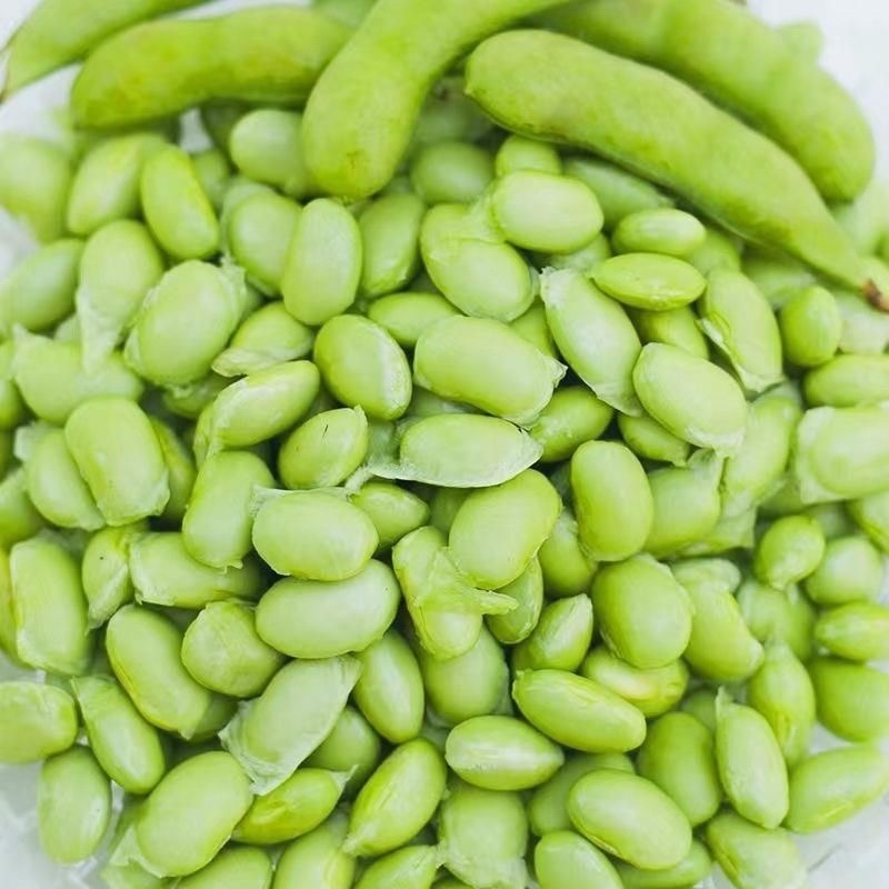 新鲜毛豆带壳营养多汁毛豆长期有货正品保障
