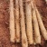 【优质】广西山药-淮山药-产地直发价格优惠-可视频看货