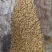 芹菜籽新货无杂质中药材芹菜子散装批发量大从优
