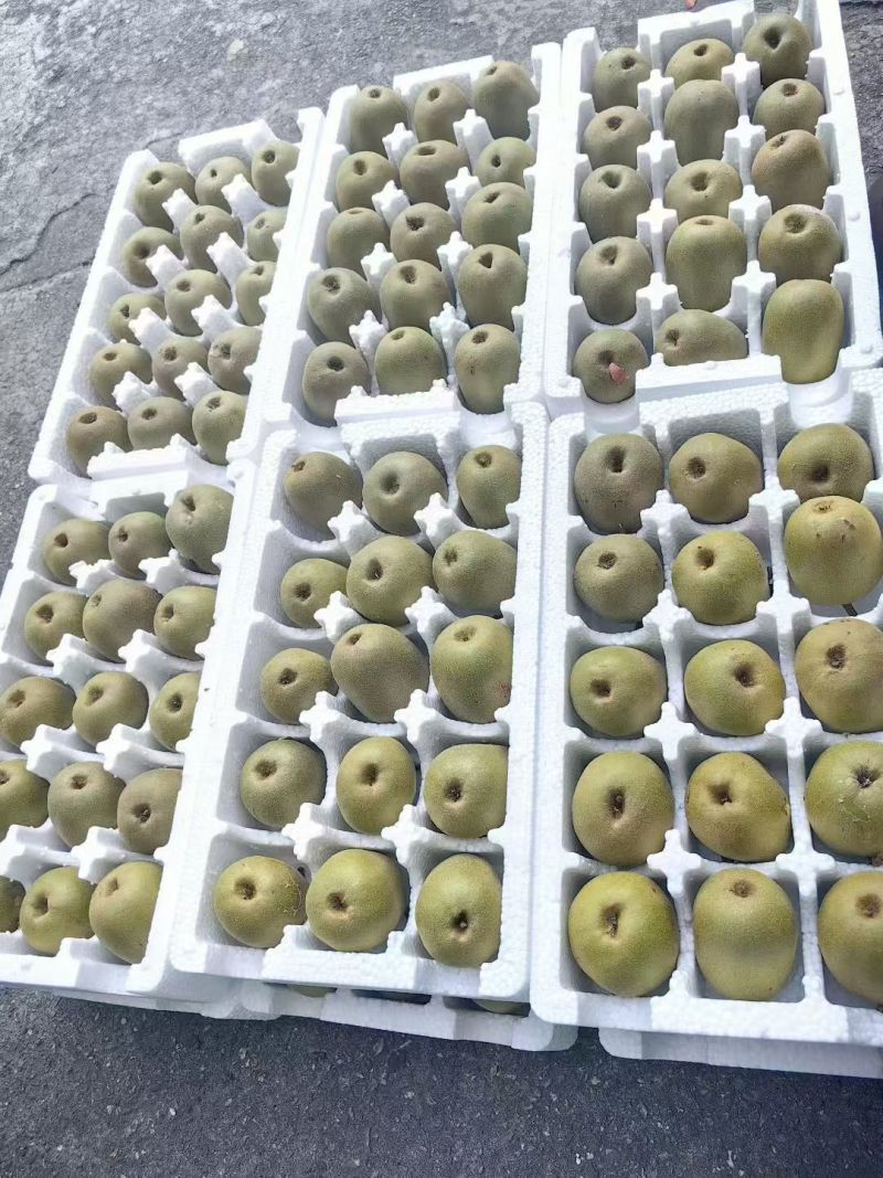红心猕猴桃
