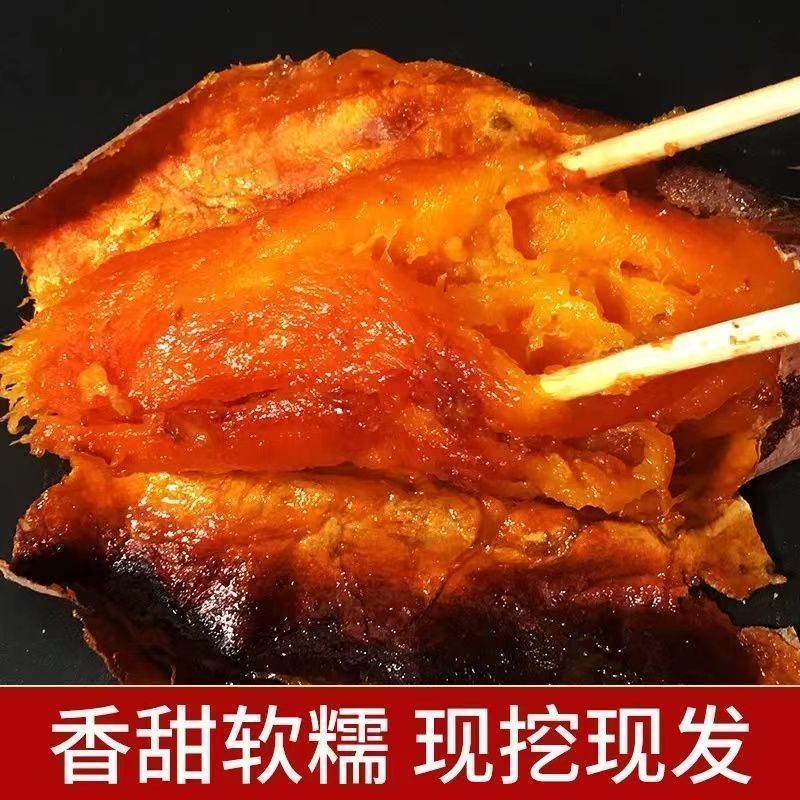 正宗沙地蜜薯新鲜红薯板栗番薯现挖巴马红心农家糖心地瓜
