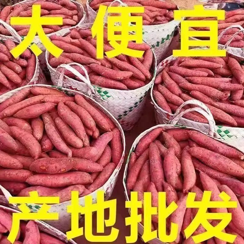 正宗沙地蜜薯新鲜红薯板栗番薯现挖巴马红心农家糖心地瓜