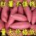 正宗沙地蜜薯新鲜红薯板栗番薯现挖巴马红心农家糖心地瓜