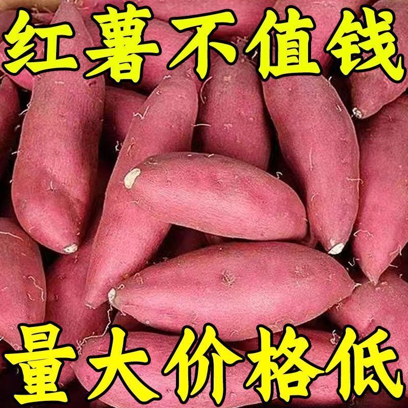 正宗沙地蜜薯新鲜红薯板栗番薯现挖巴马红心农家糖心地瓜