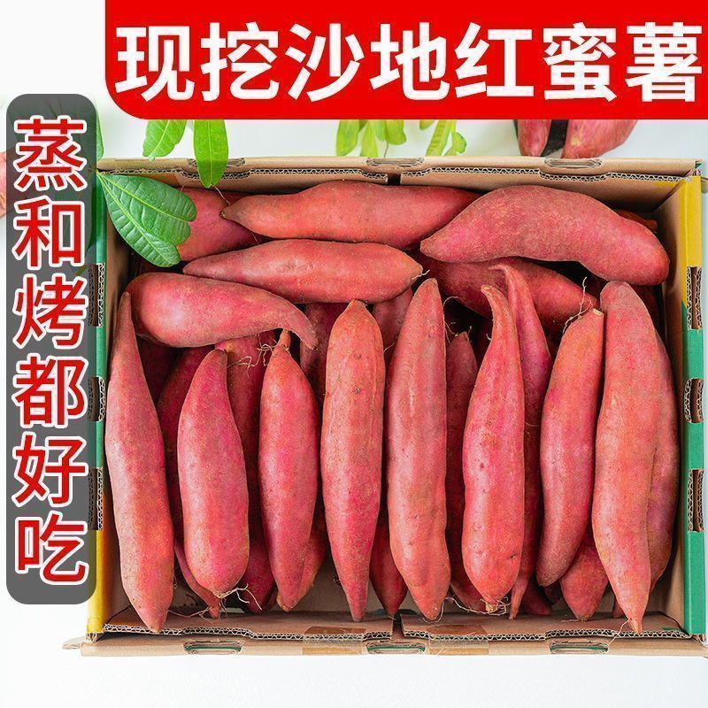 正宗沙地蜜薯新鲜红薯板栗番薯现挖巴马红心农家糖心地瓜
