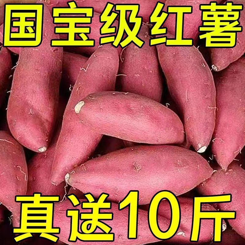 正宗沙地蜜薯新鲜红薯板栗番薯现挖巴马红心农家糖心地瓜