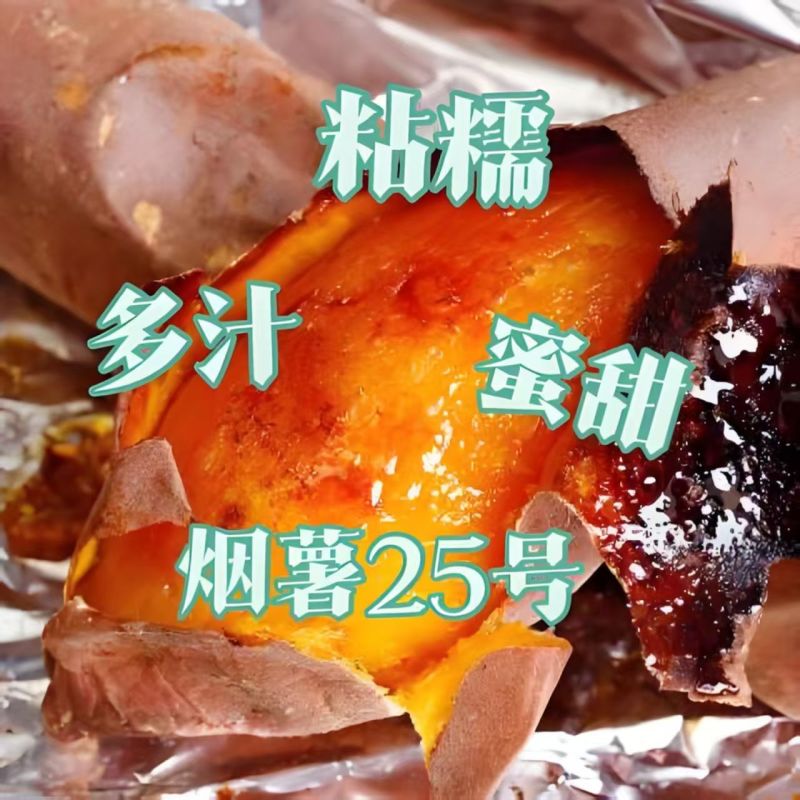 河北红薯/烟薯25号红薯/烧烤红薯/纯甜红心红薯
