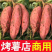 河北红薯/烟薯25号红薯/烧烤红薯/纯甜红心红薯