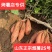 河北红薯/烟薯25号红薯/烧烤红薯/纯甜红心红薯