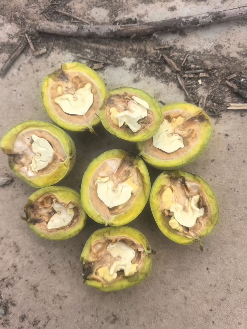 清香通货大量有货