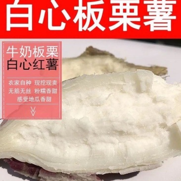 板栗哈密新鲜冰糖现挖红皮红薯白心番薯蜜薯白肉地瓜正宗农家