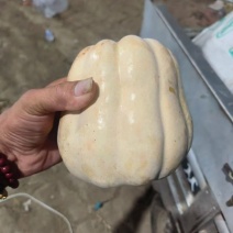 水果南瓜新野产地直发粉蛮腰南瓜货量充足可视频看货