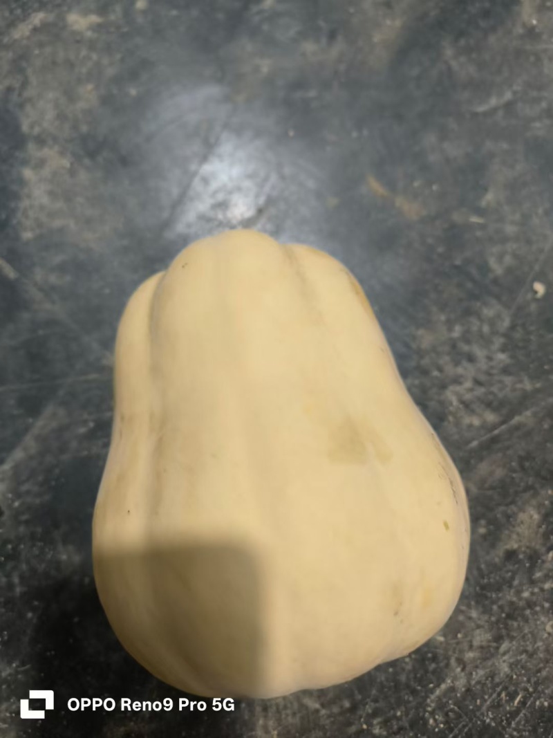 水果南瓜新野产地直发粉蛮腰南瓜货量充足可视频看货