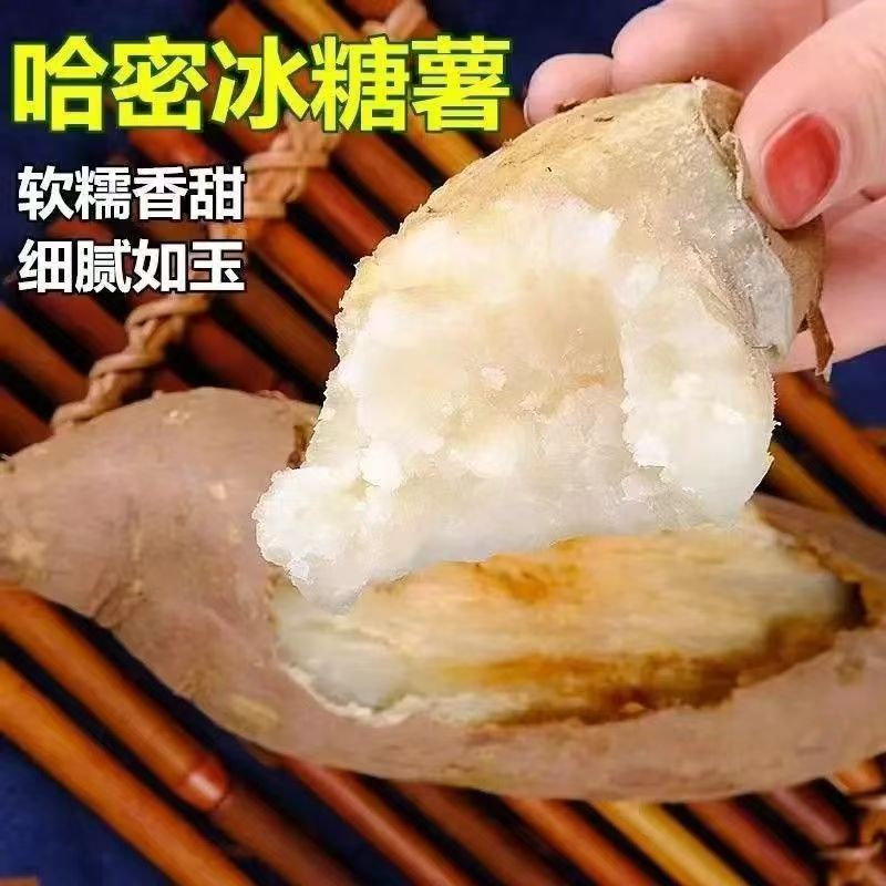 板栗哈密新鲜冰糖现挖红皮红薯白心番薯蜜薯白肉地瓜正宗农家