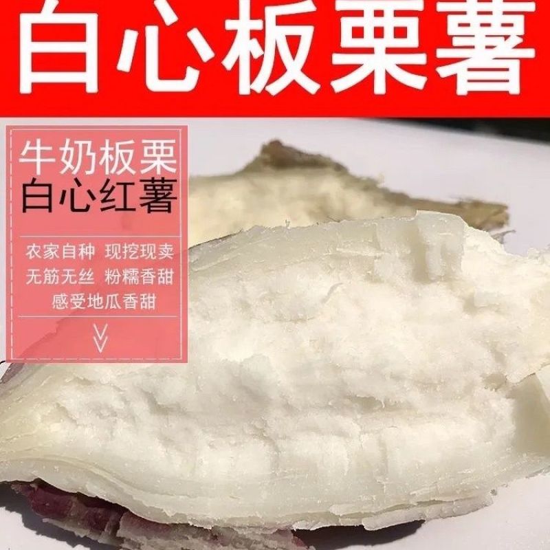 板栗哈密新鲜冰糖现挖红皮红薯白心番薯蜜薯白肉地瓜正宗农家