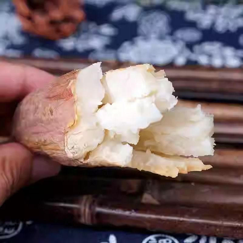 板栗哈密新鲜冰糖现挖红皮红薯白心番薯蜜薯白肉地瓜正宗农家