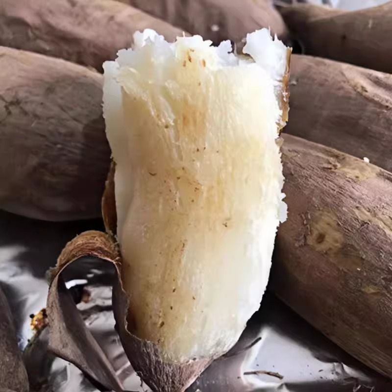 板栗哈密新鲜冰糖现挖红皮红薯白心番薯蜜薯白肉地瓜正宗农家
