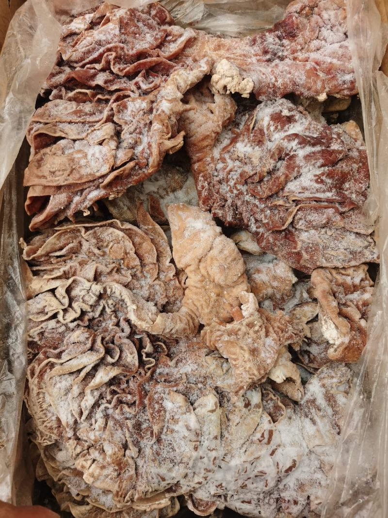 牛散带牛伞带国产纯干牛伞肚纯清水煮牛三代牛三袋牛伞袋
