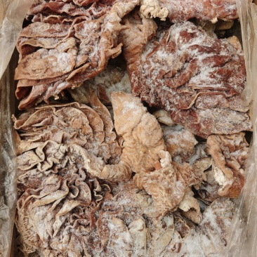 牛散带牛伞带国产纯干牛伞肚纯清水煮牛三代牛三袋牛伞袋