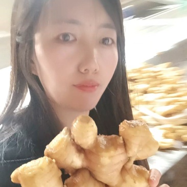 生姜老姜批发，大黄姜小黄姜承接市场，电商，商超，出口