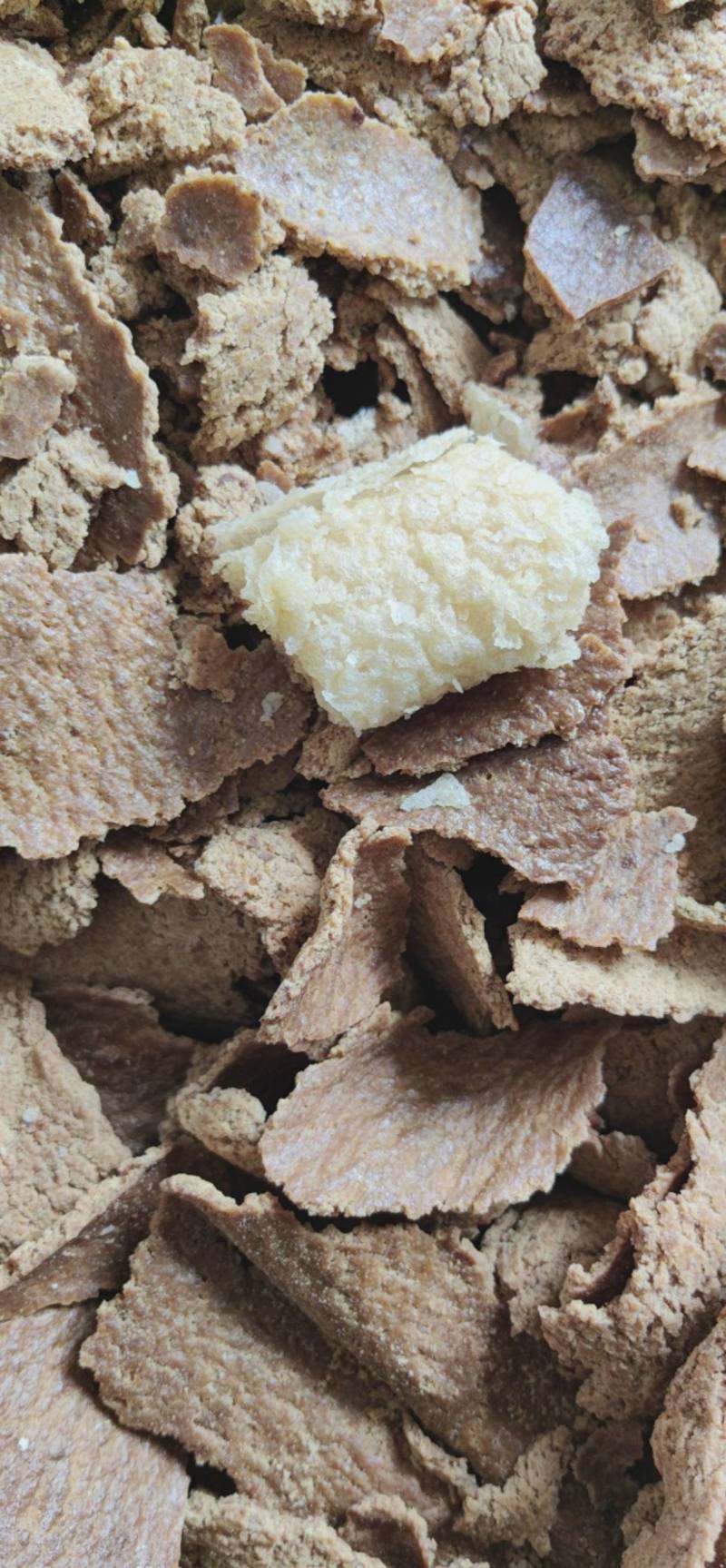大豆饼，大豆蛋白