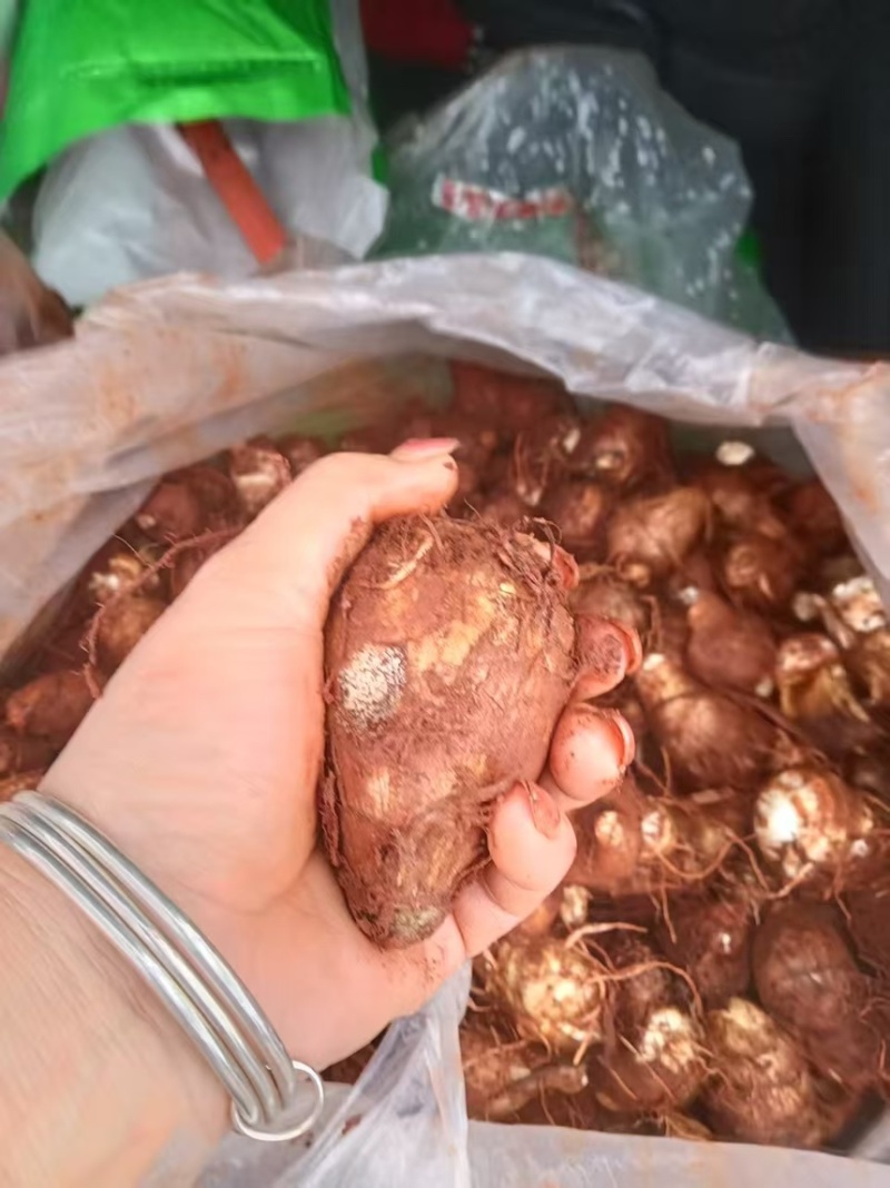 云南水果牛奶芋头