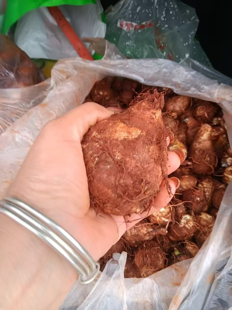 云南水果牛奶芋头