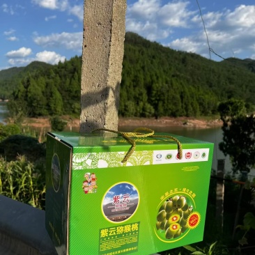 红心猕猴桃（红阳）