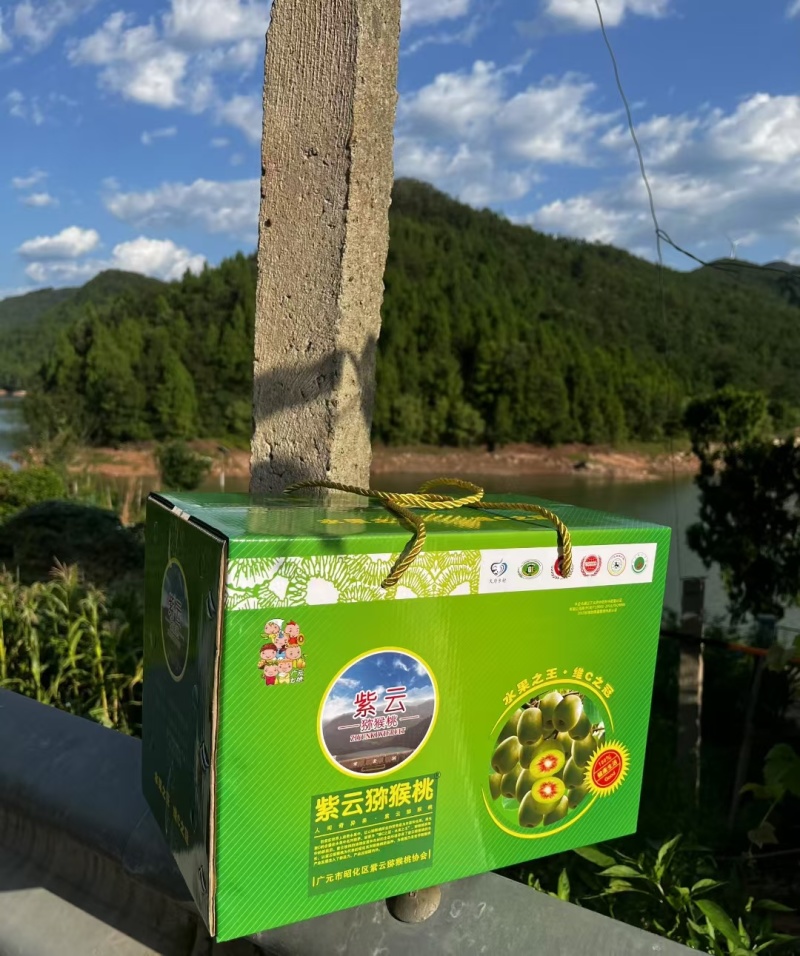 红心猕猴桃（红阳）