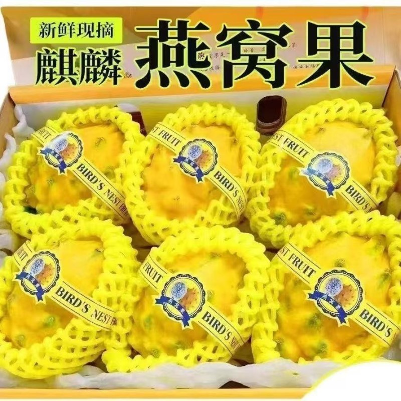 麒麟燕窝果云南西双版纳特产热带水果