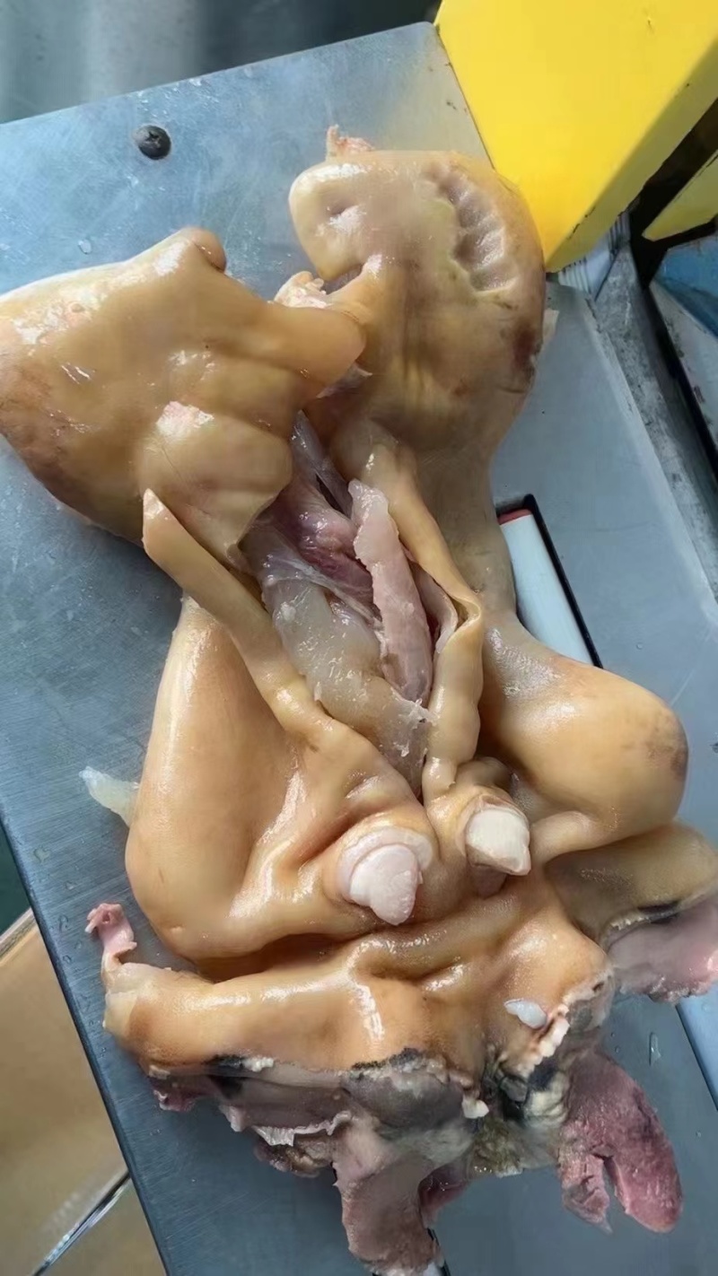 【熟牛蹄筋】去骨牛蹄全熟去骨牛蹄单个抽真空质量保证