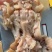 【熟牛蹄筋】去骨牛蹄全熟去骨牛蹄单个抽真空质量保证