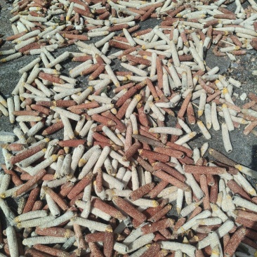 玉米芯