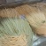 新鲜手工长春面，原生态食材，口感Q弹，特惠，快来尝鲜