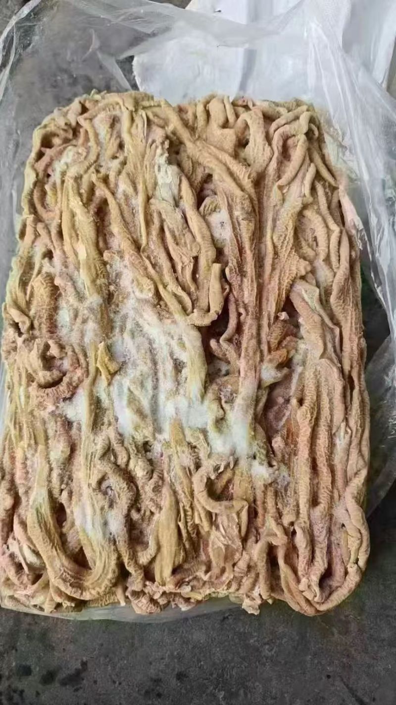 牛肠牛小肠一件20公斤定重厂家直销欢迎下单