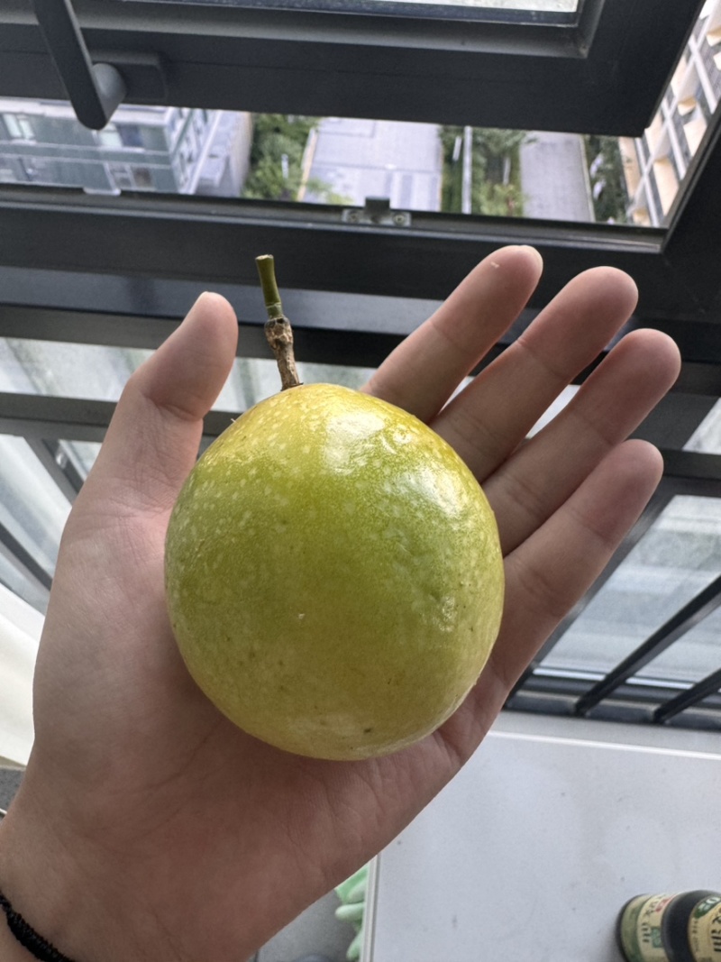 钦蜜九号百香果批发