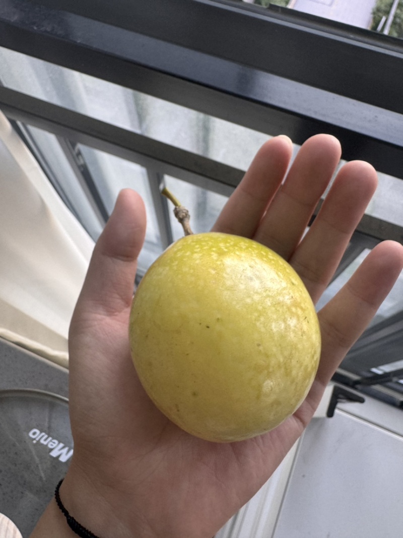 钦蜜九号百香果批发
