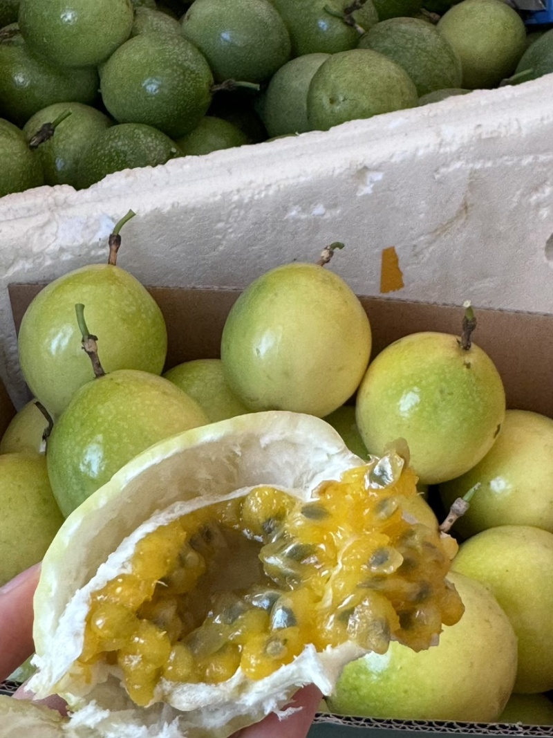 钦蜜九号百香果批发