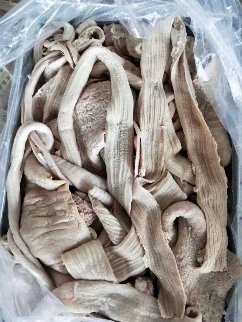山东丰源牛大肠，长期有货，可视频看货，包装干净卫生