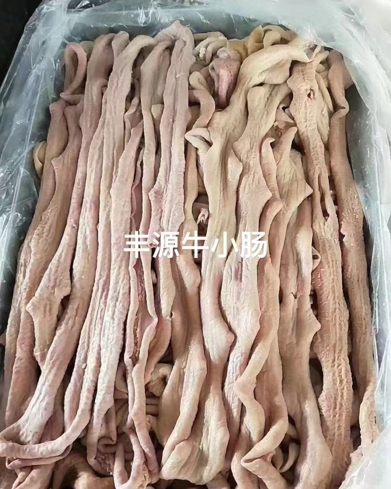 山东丰源牛小肠，厂家直销，质量保证，量大优惠欢迎来电洽谈