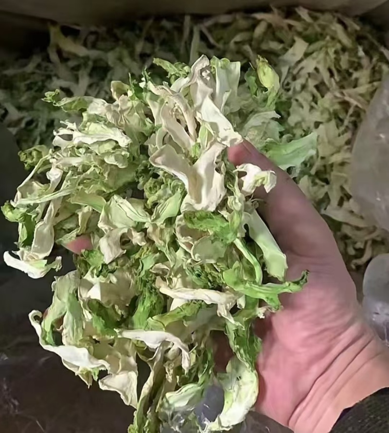 优质儿菜干菜，可长期供应批发零售