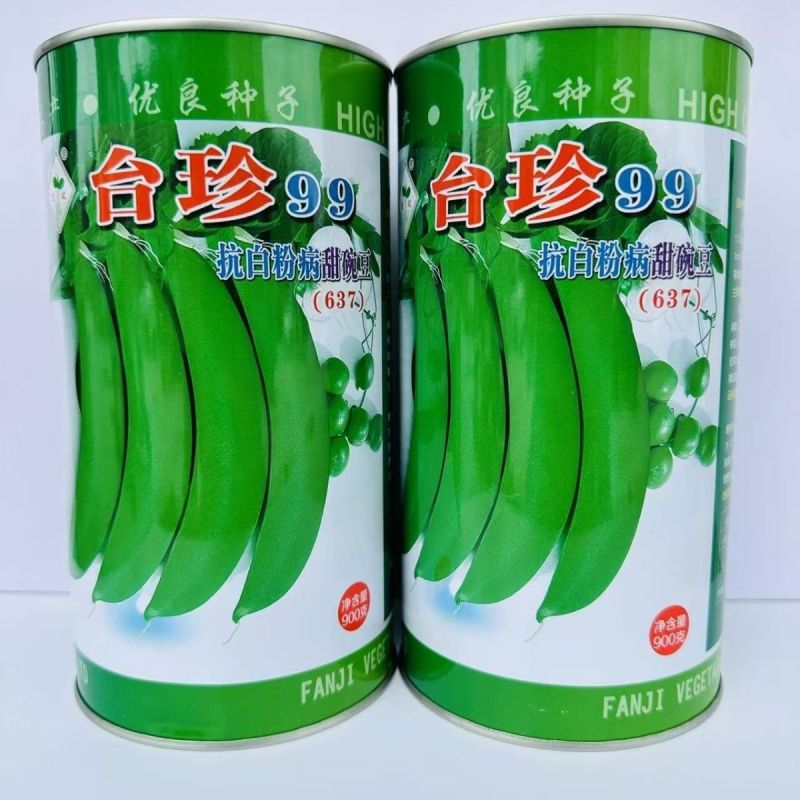 台珍99抗白粉病甜豌豆种子早生水果豌豆种子糖度高基地播种