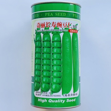 奇丽长寿仁豌豆仁种子高抗白粉病进口豌豆种纯度高基地种植