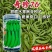 台珍99抗白粉病甜豌豆种子早生水果豌豆种子糖度高基地播种